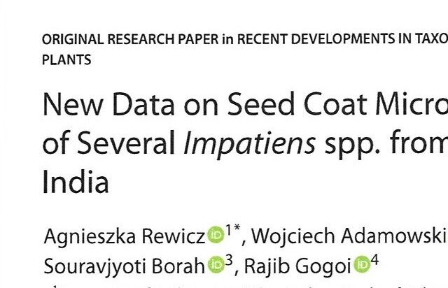 New data on seed coat micromorphology of nine Impatiens species